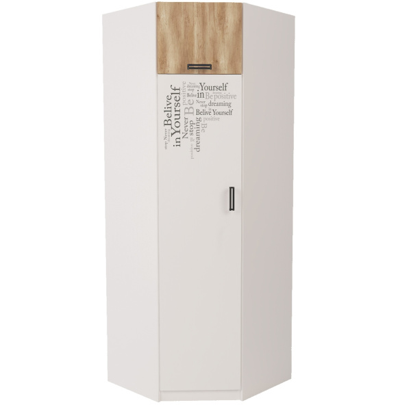 Шкаф угловой коллекции Твой Стиль (с принтом)  от Династия Kids